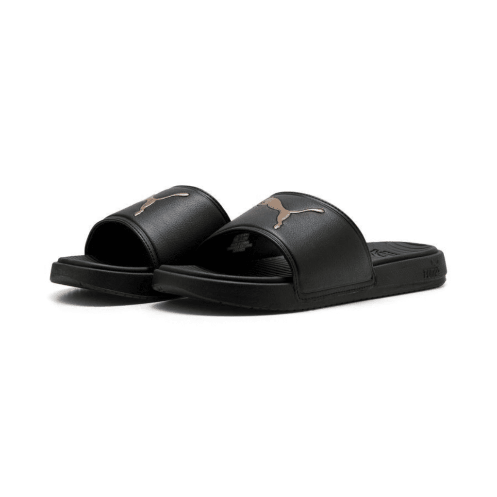 Cool Cat 3.0 Slides